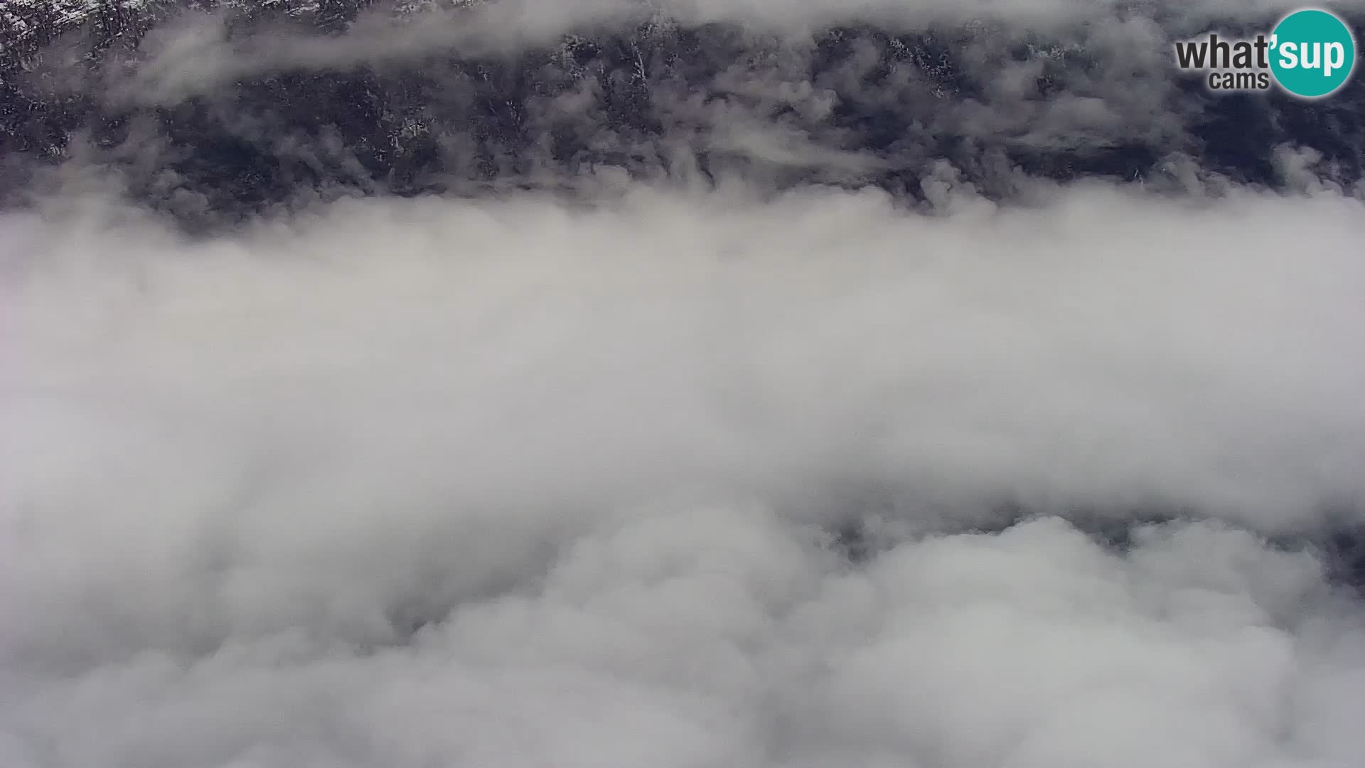 Webcam Bohinj See und Triglav – Blick vom Skigebiet Vogel