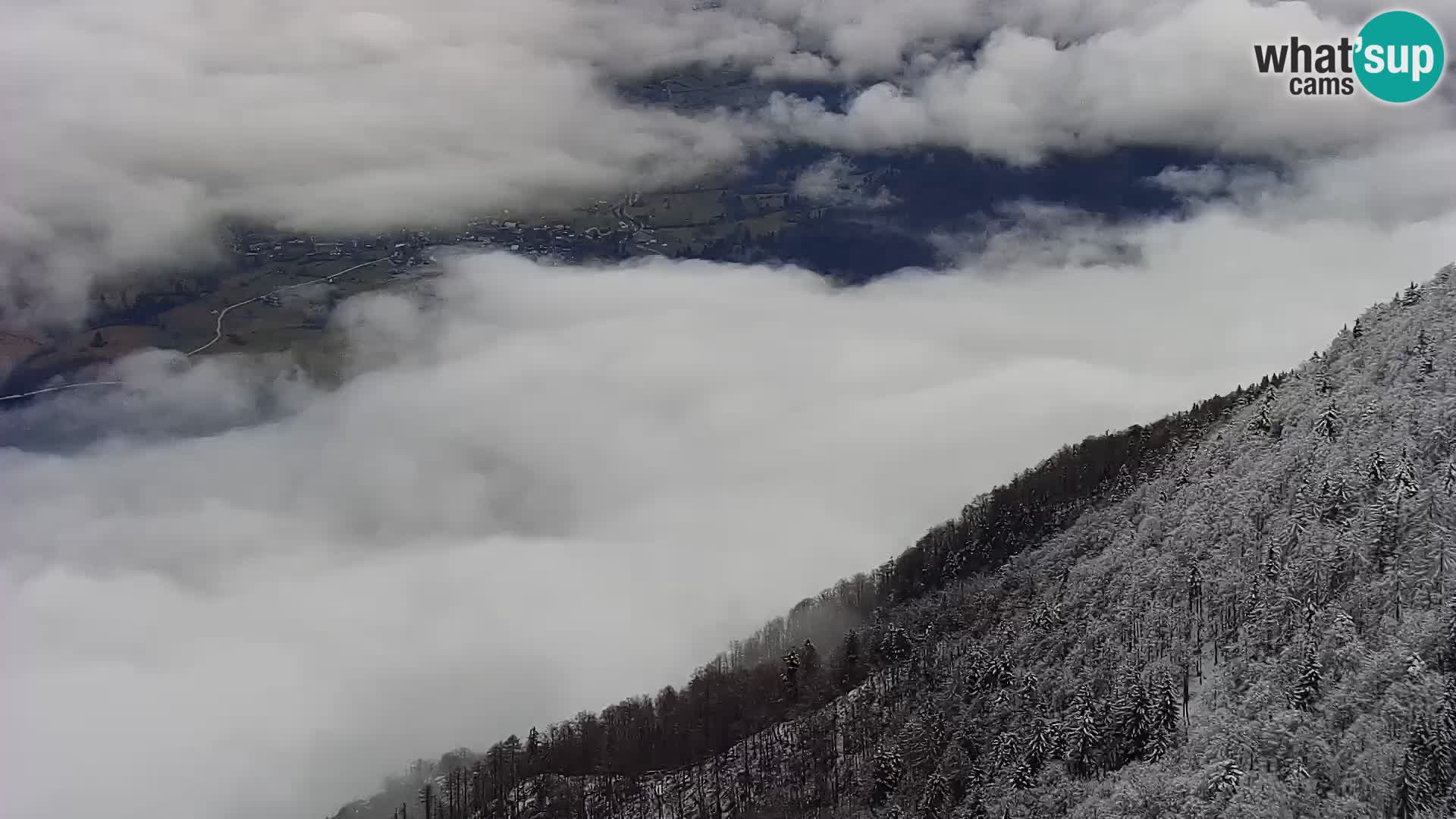 Webcam lago di Bohinj e del Triglav – vista dalla stazione sciistica di Vogel