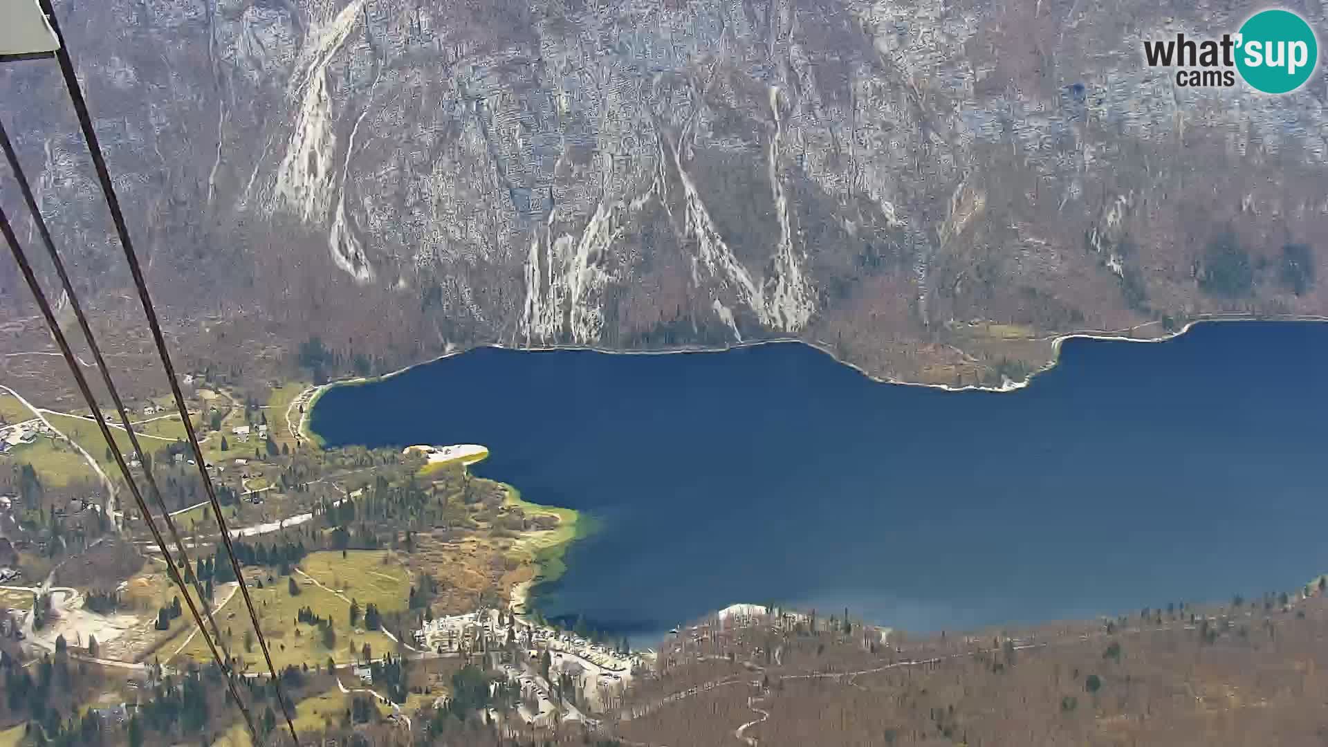 Webcam lac de Bohinj et Triglav – vue depuis la station de ski de Vogel
