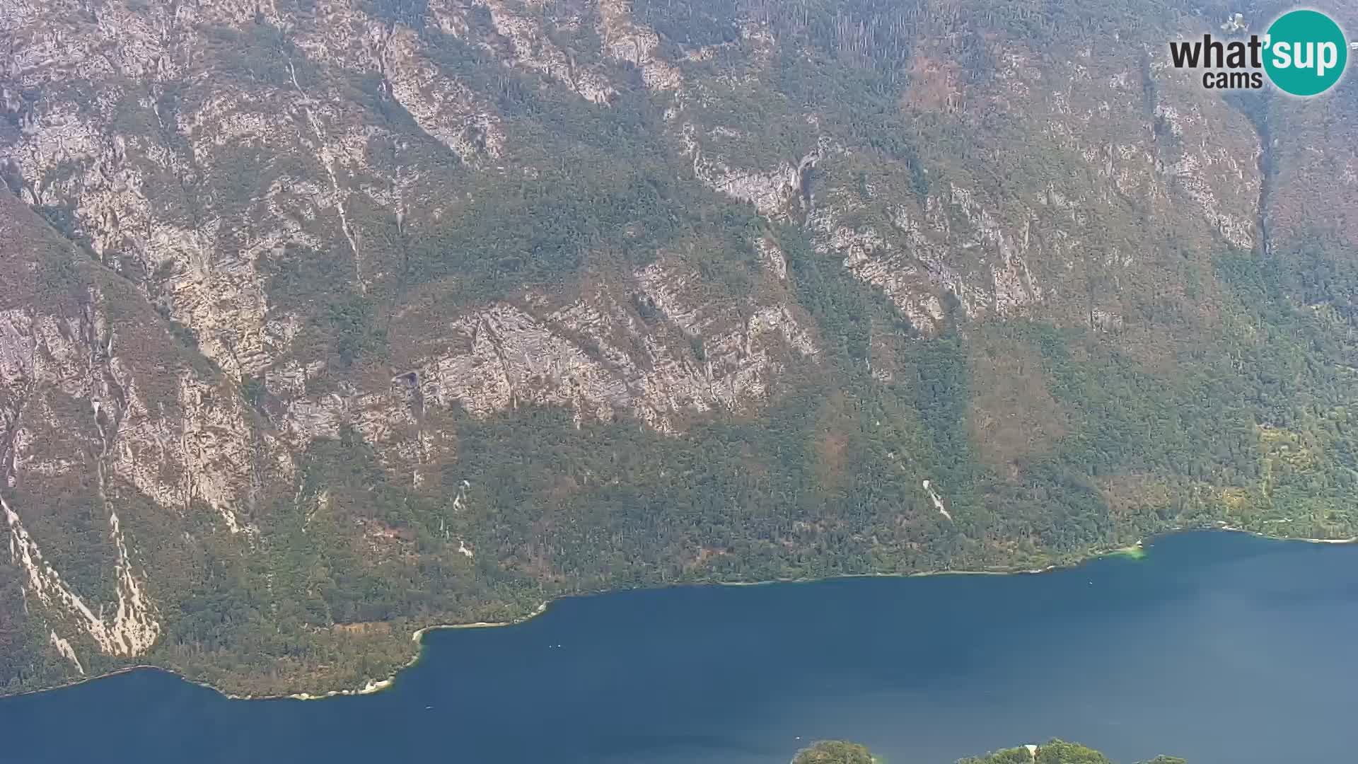 Webcam lac de Bohinj et Triglav – vue depuis la station de ski de Vogel