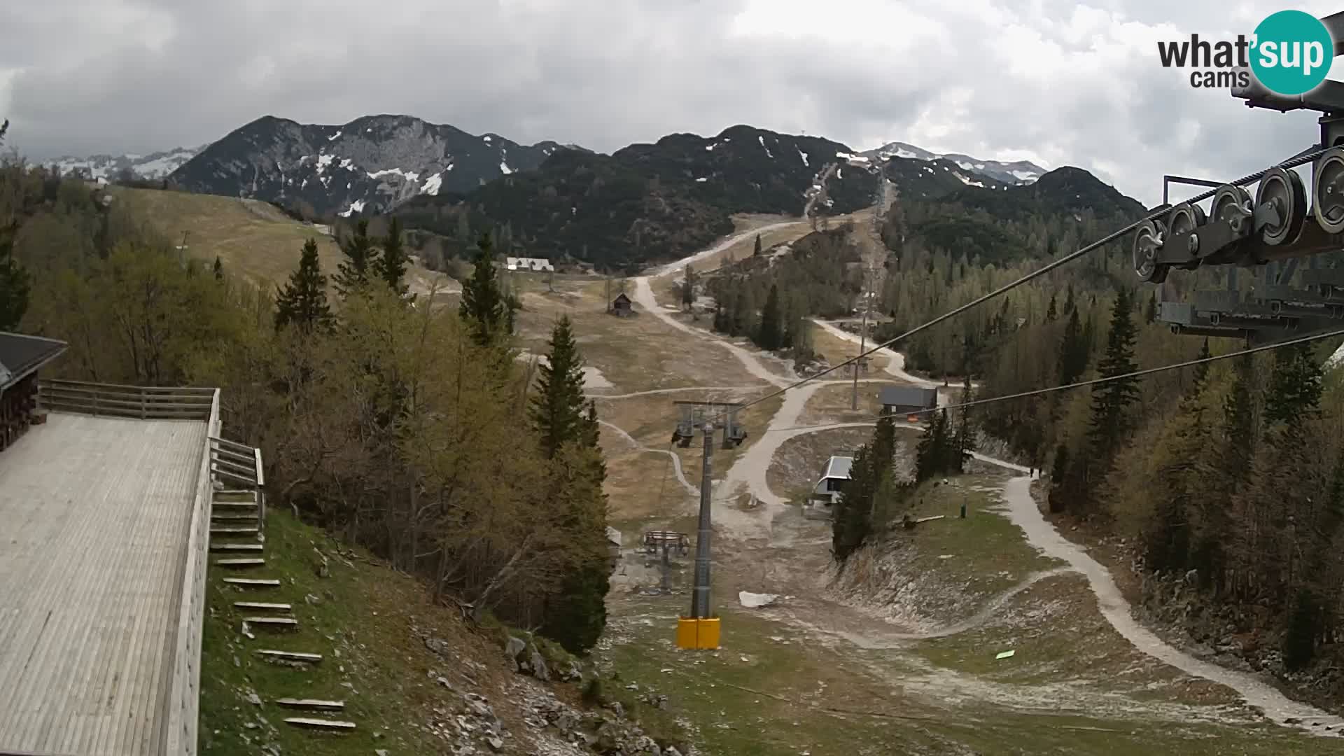 Vogel webcam kamera – Brunarica – Slowenien