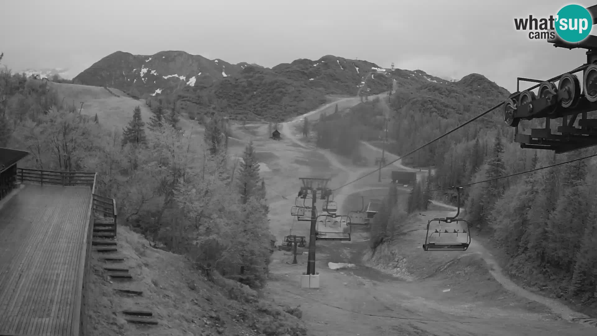 Vogel webcam kamera – Brunarica – Slowenien