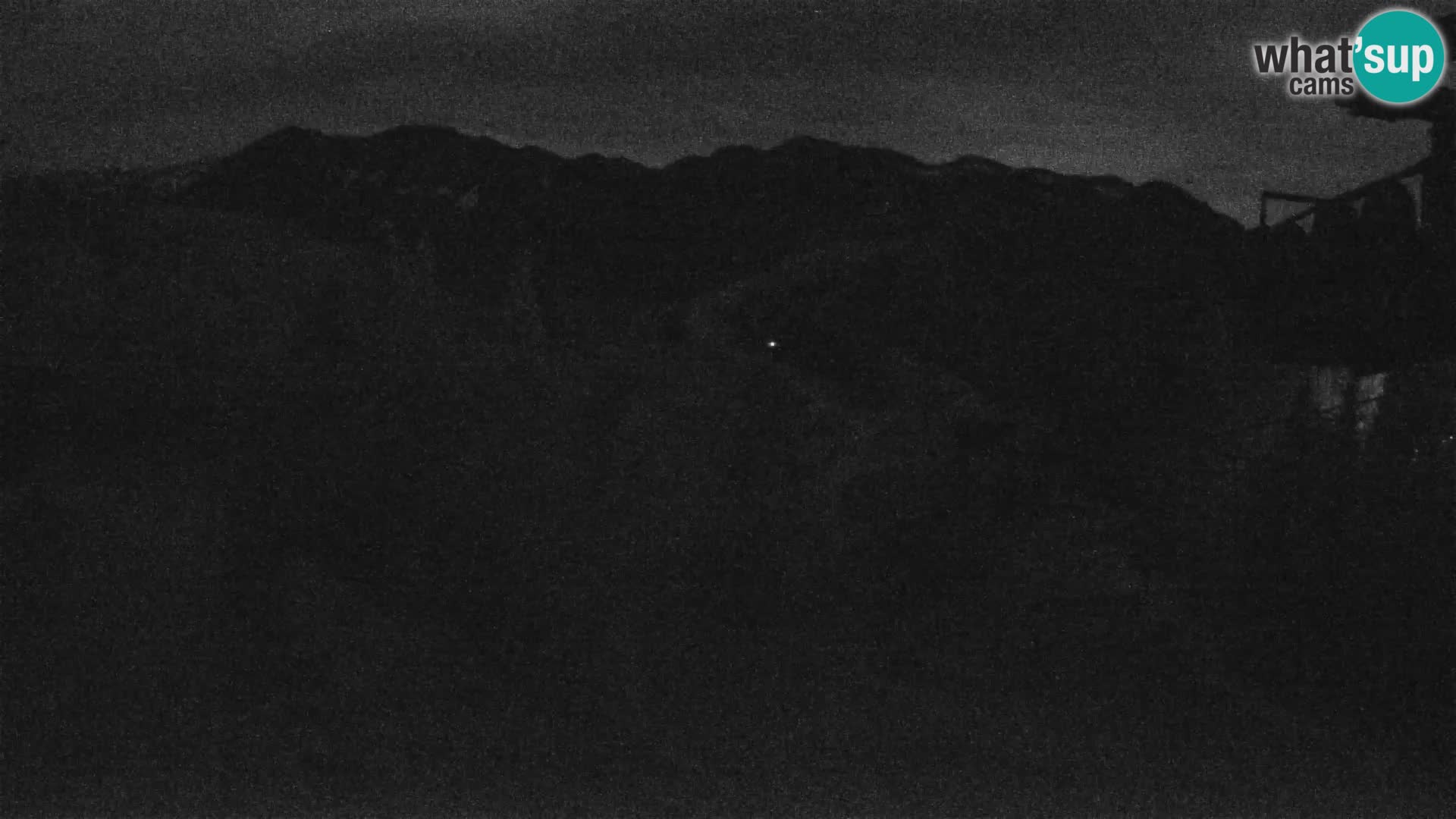 Vogel webcam kamera – Brunarica – Slowenien