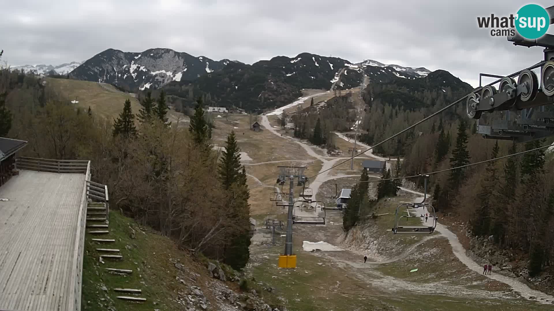Vogel web kamera – Brunarica – Slovenija