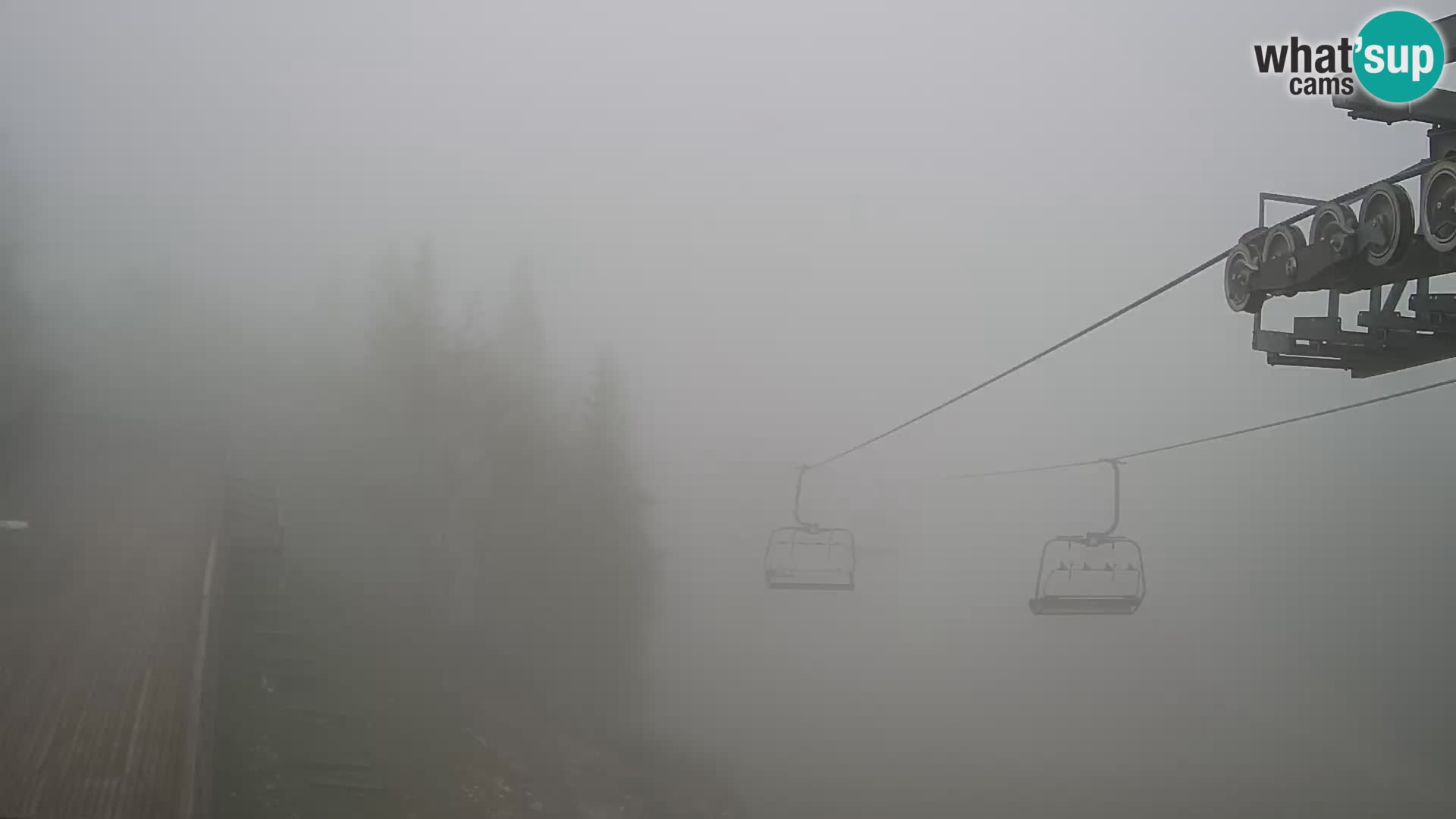 Vogel web kamera – Brunarica – Slovenija