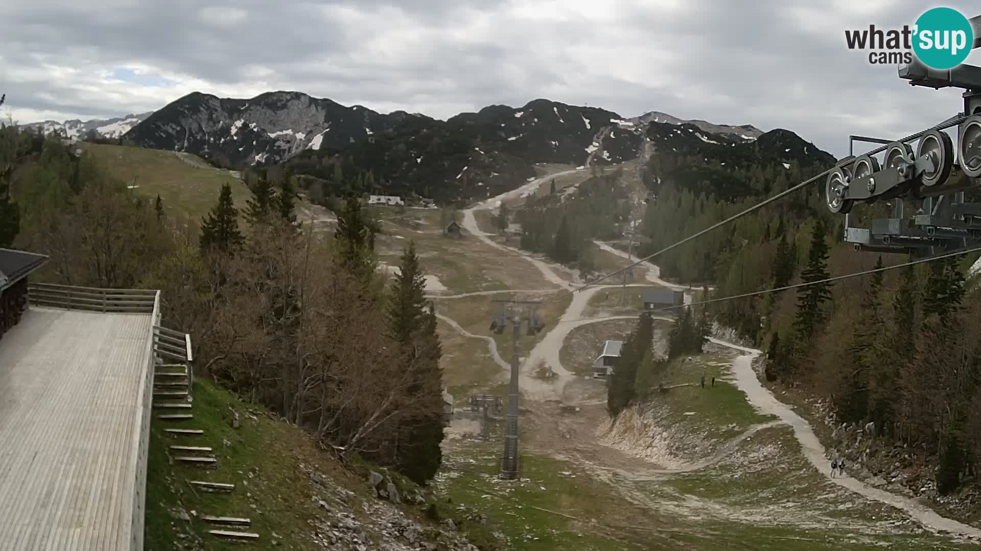 Vogel webcam kamera – Brunarica – Slowenien