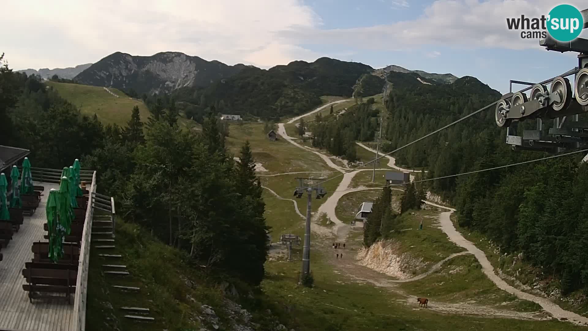 Vogel web kamera – Brunarica – Slovenija