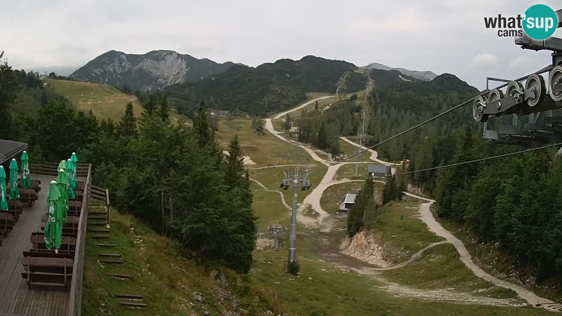 Vogel web kamera – Brunarica – Slovenija