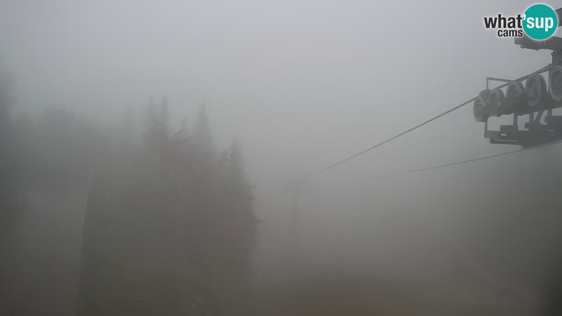 Vogel Live webcam – Brunarica – Slovénie