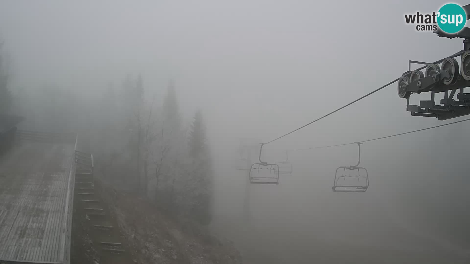 Vogel web kamera – Brunarica – Slovenija