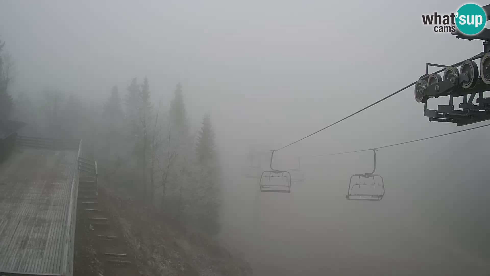 Vogel web kamera – Brunarica – Slovenija