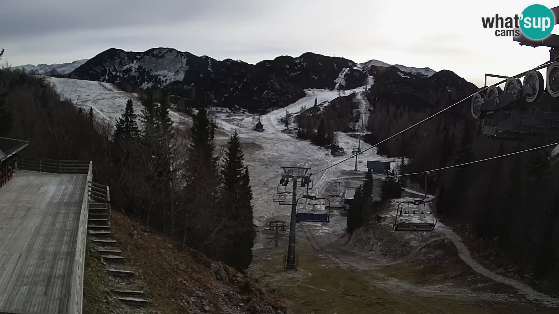 Vogel web kamera – Brunarica – Slovenija