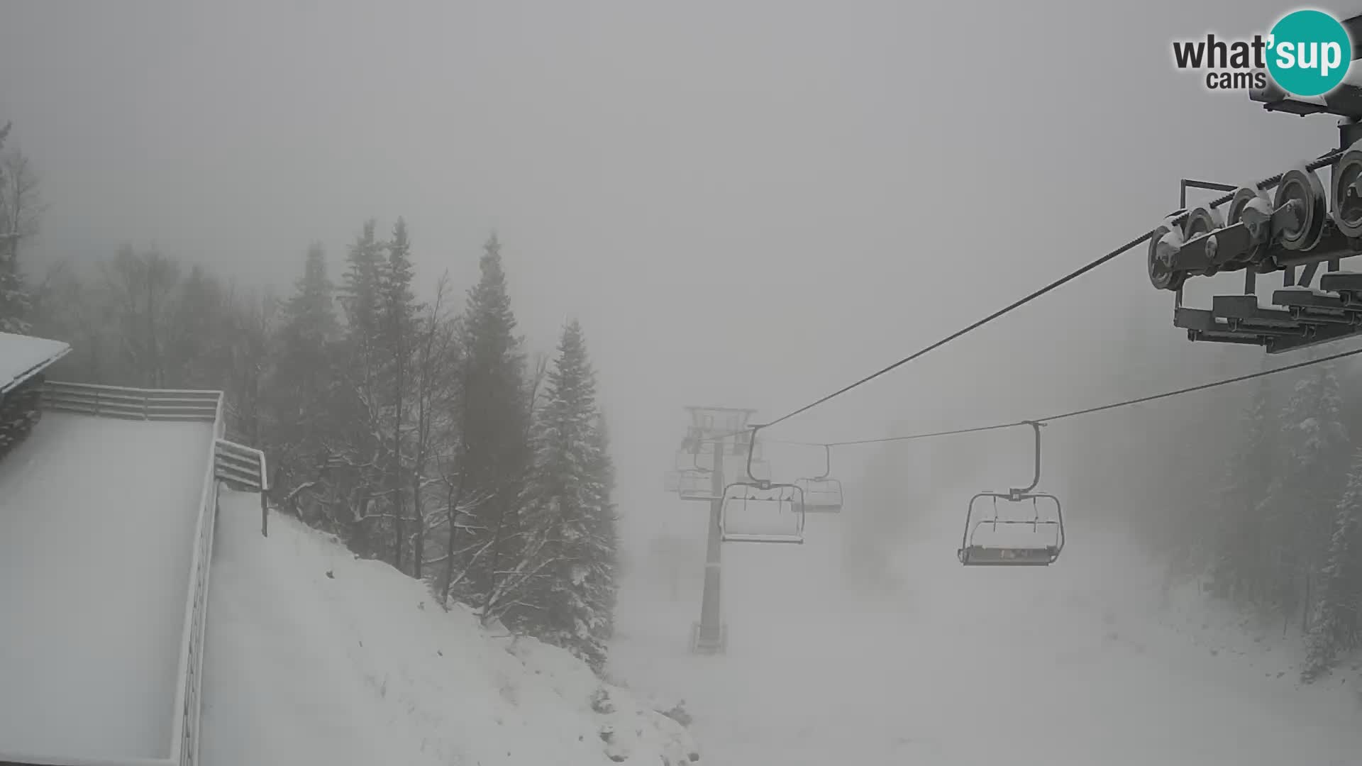 Vogel spletna kamera – Brunarica – Bohinj