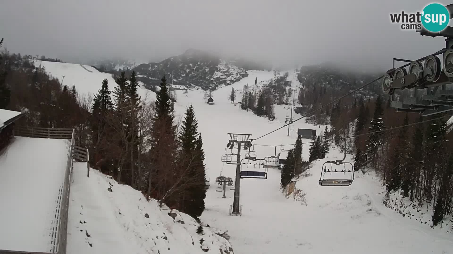 Vogel web kamera – Brunarica – Slovenija