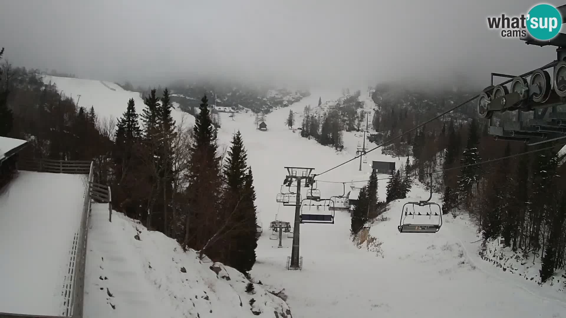 Vogel web kamera – Brunarica – Slovenija