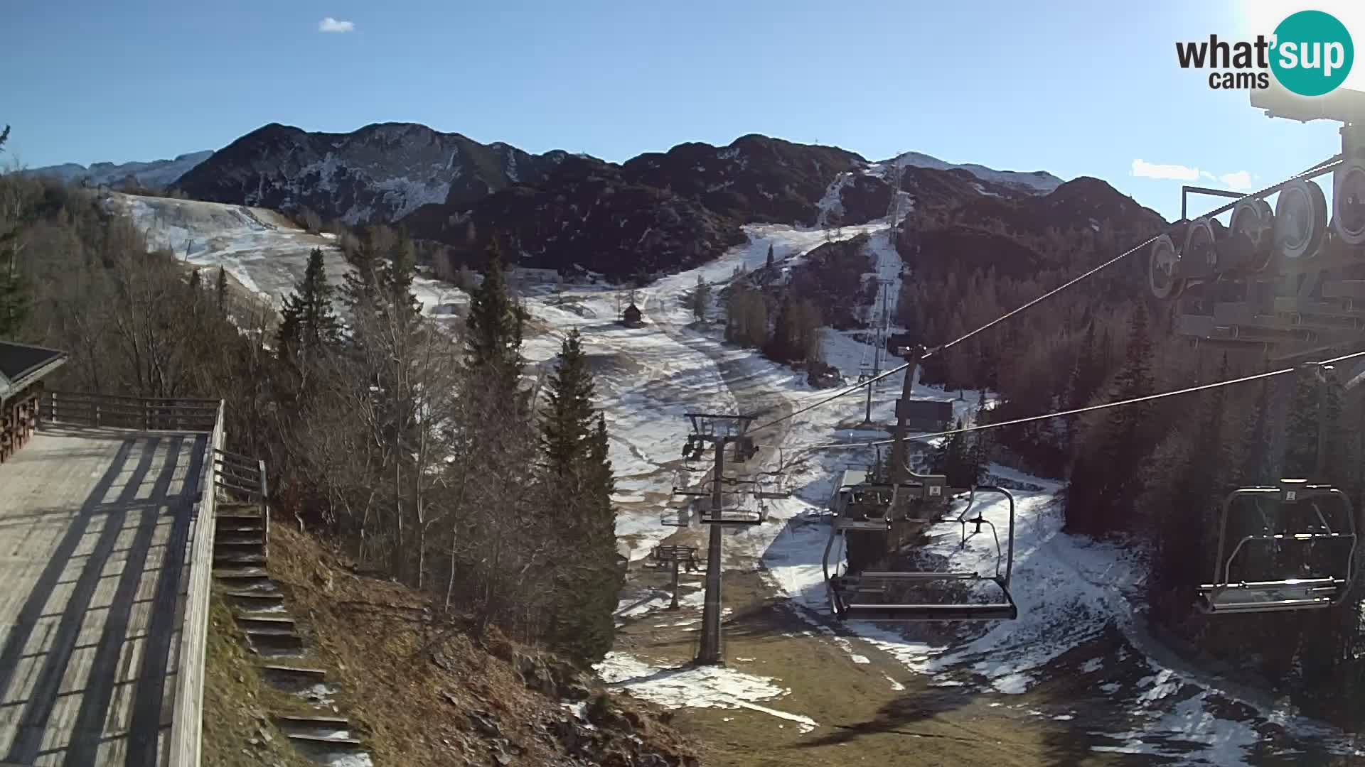 Vogel web kamera – Brunarica – Slovenija