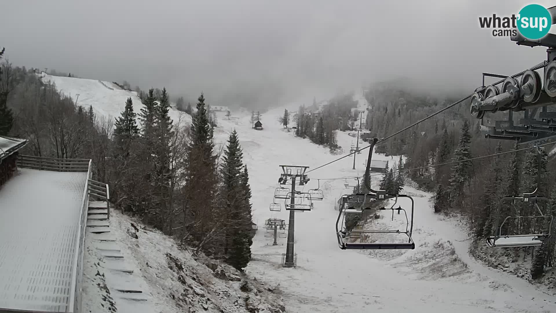 Vogel spletna kamera – Brunarica – Bohinj