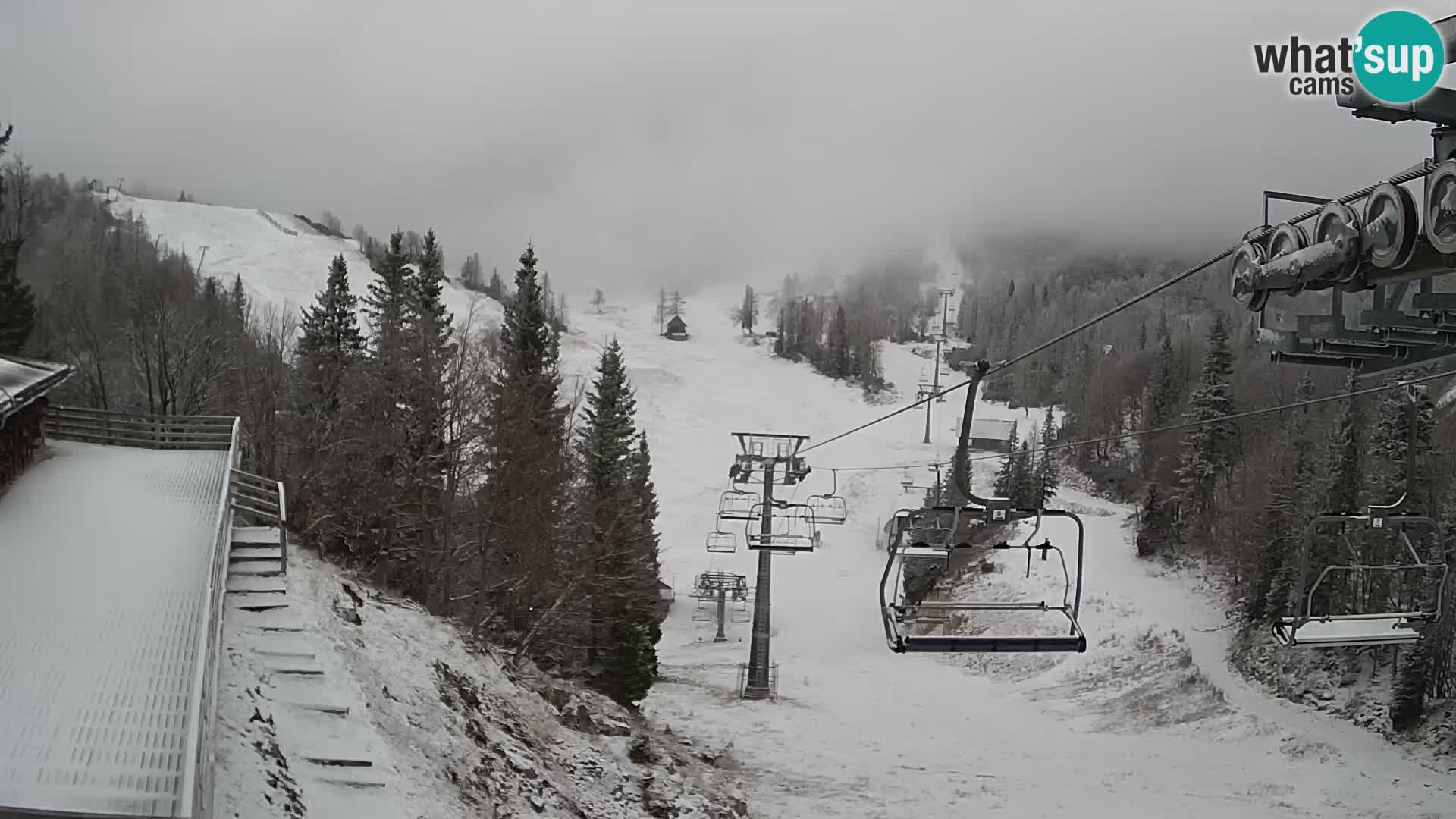 Vogel spletna kamera – Brunarica – Bohinj