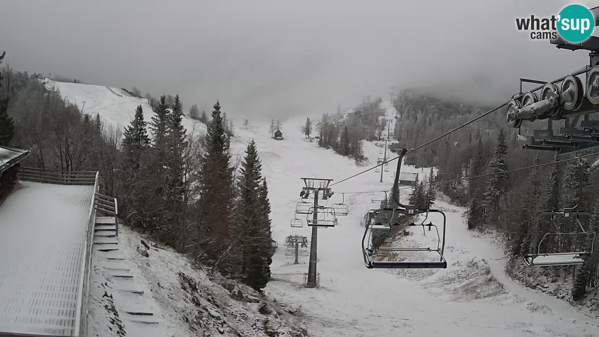 Vogel spletna kamera – Brunarica – Bohinj