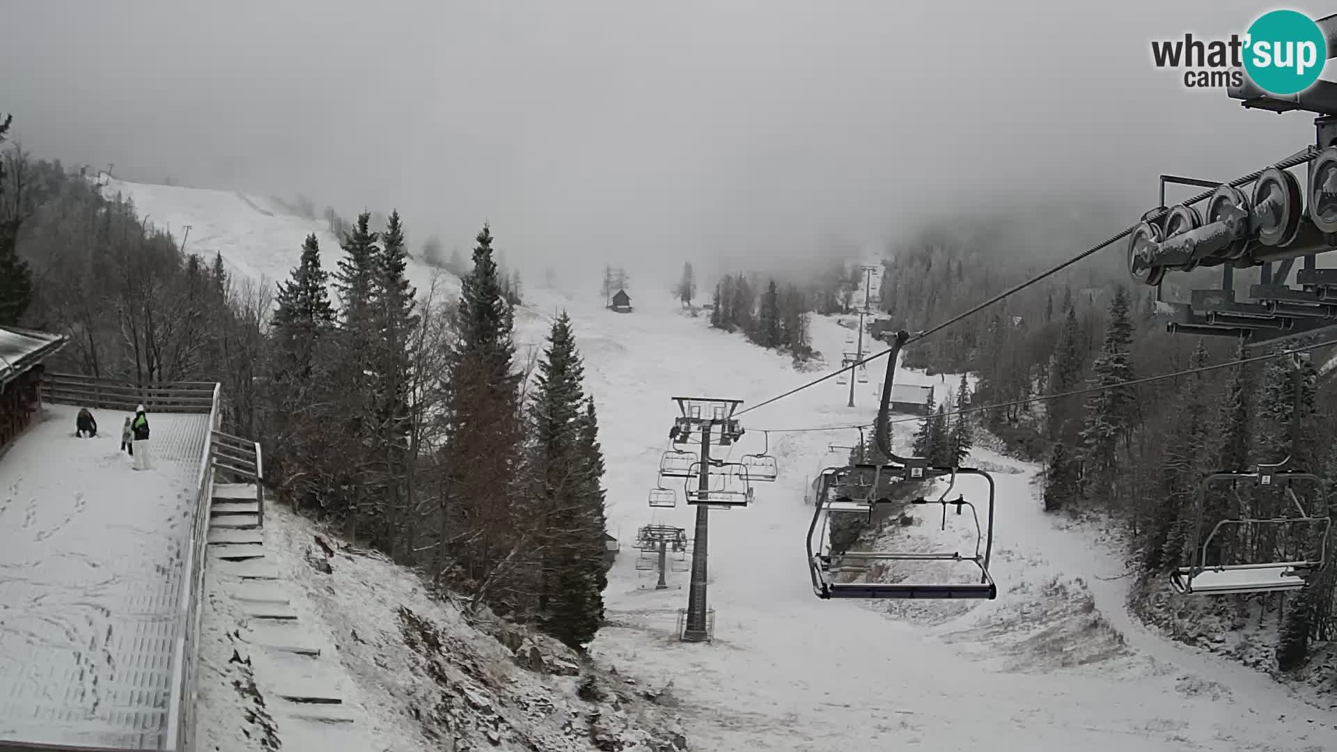 Vogel spletna kamera – Brunarica – Bohinj