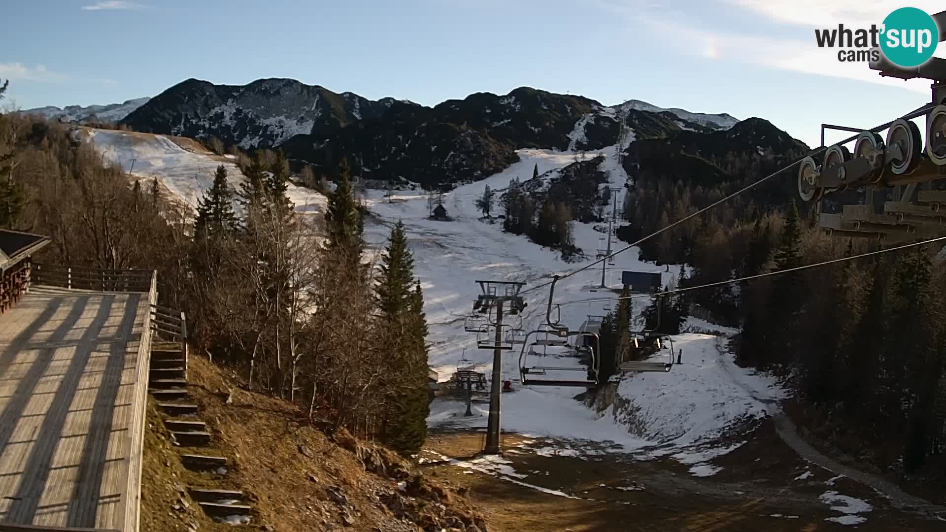 Vogel web kamera – Brunarica – Slovenija