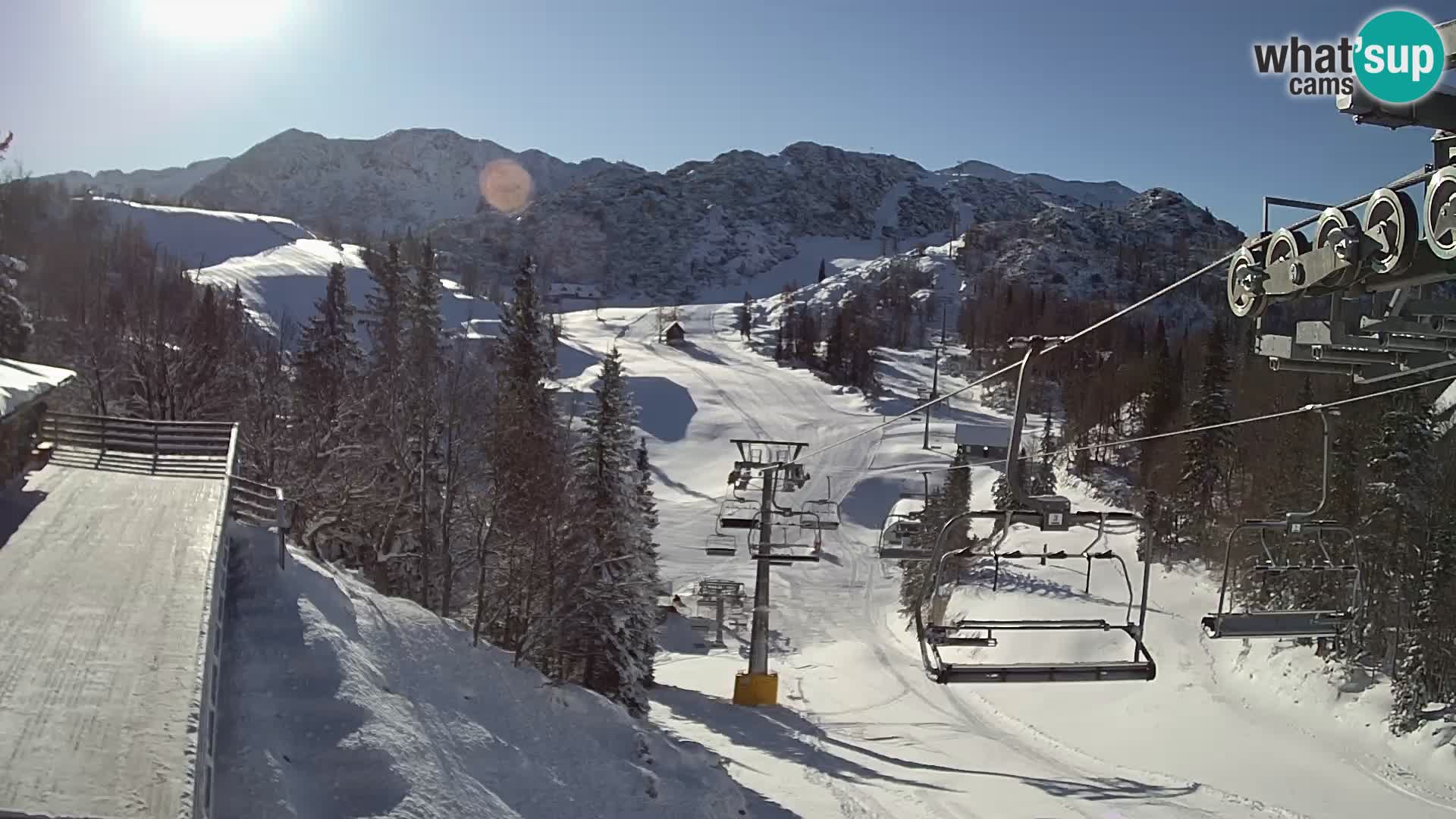 Vogel web kamera – Brunarica – Slovenija