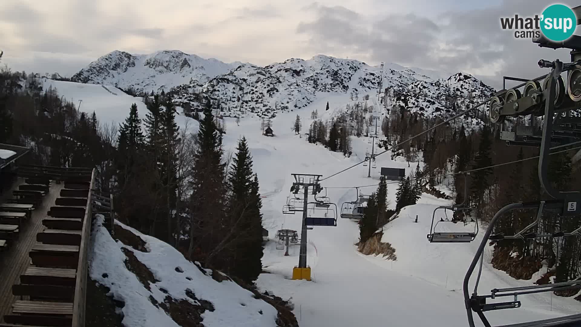 Vogel Live webcam – Brunarica – Slovénie