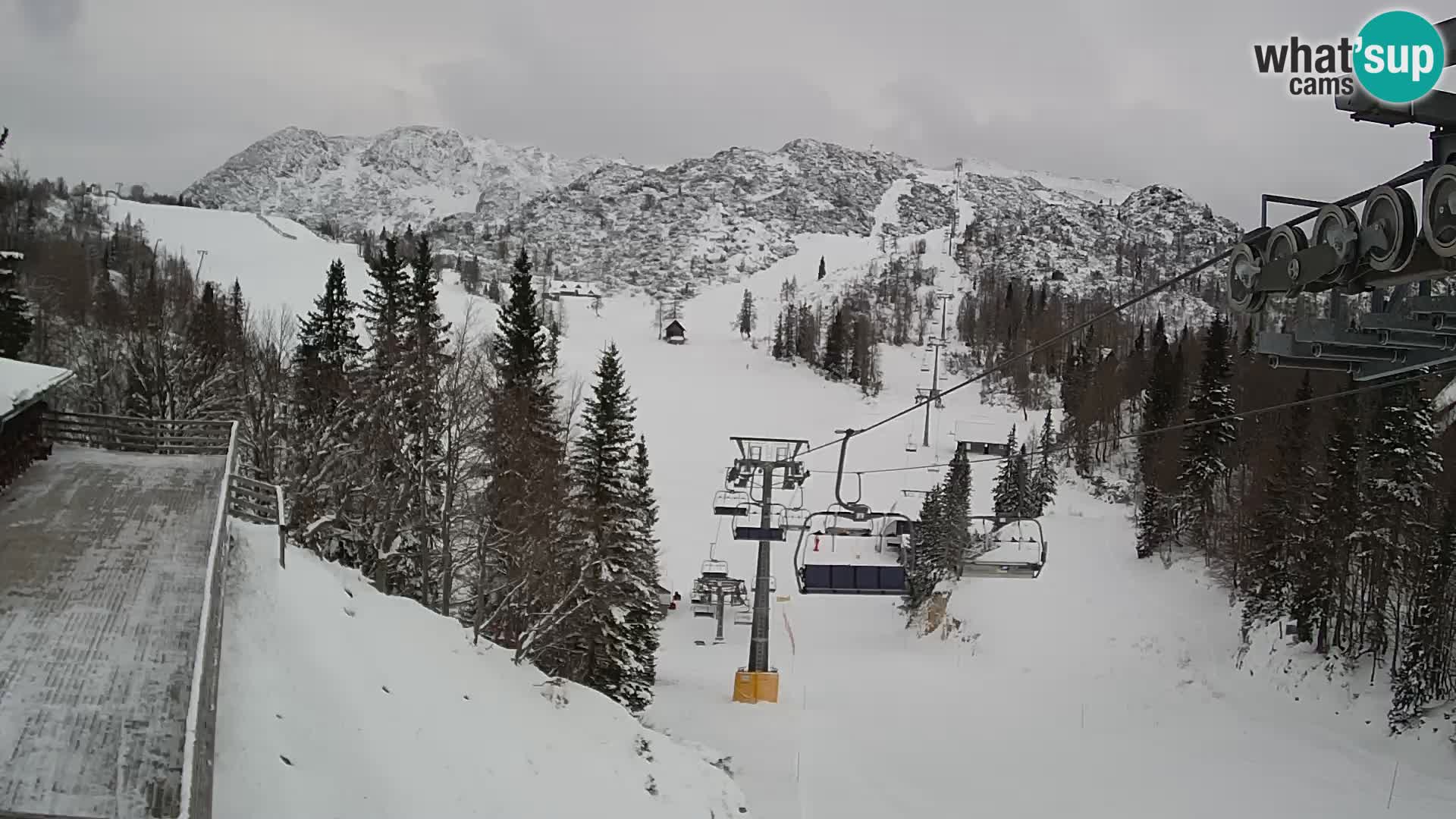 Vogel Live webcam – Brunarica – Slovénie