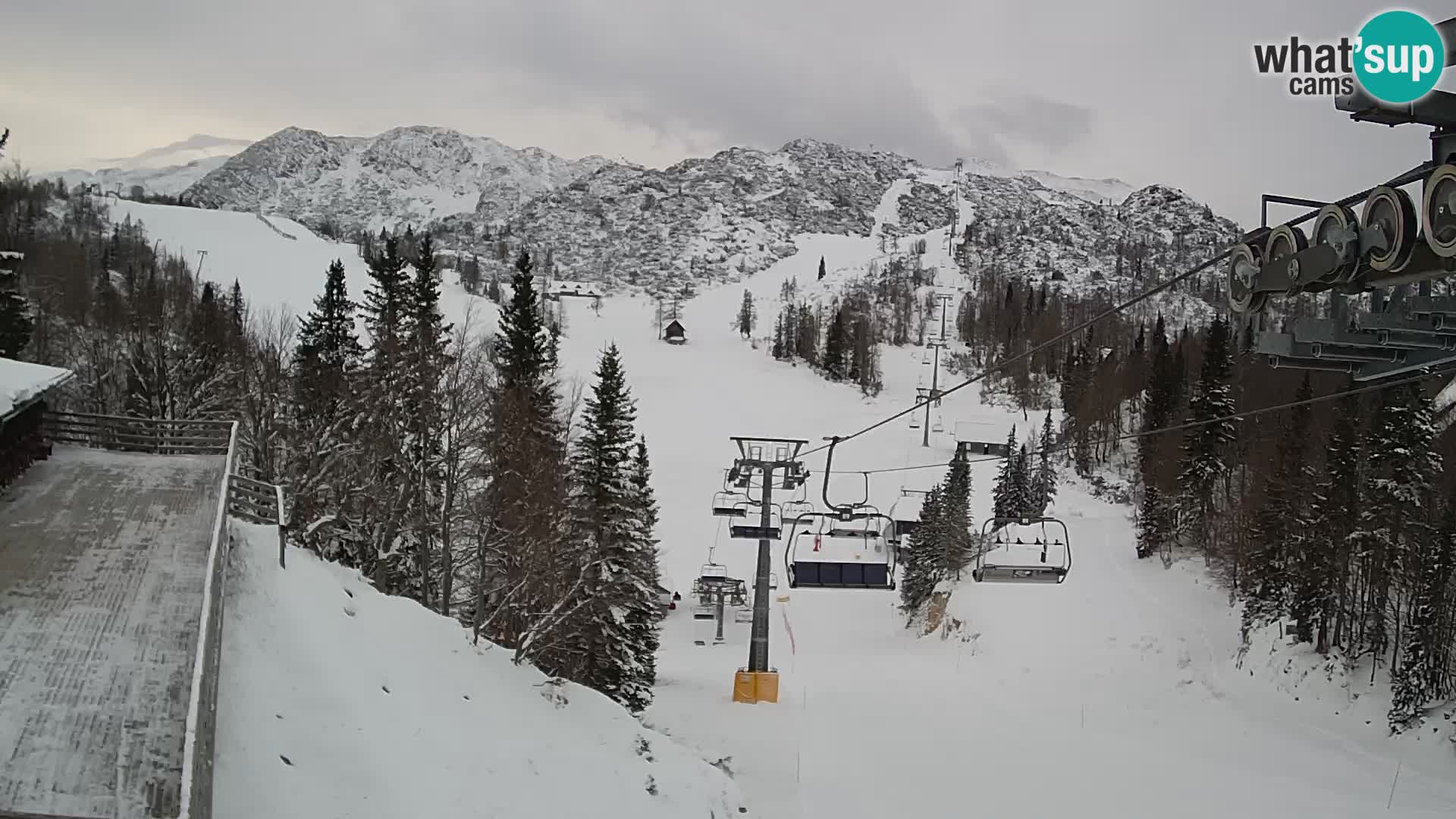 Vogel Live webcam – Brunarica – Slovénie