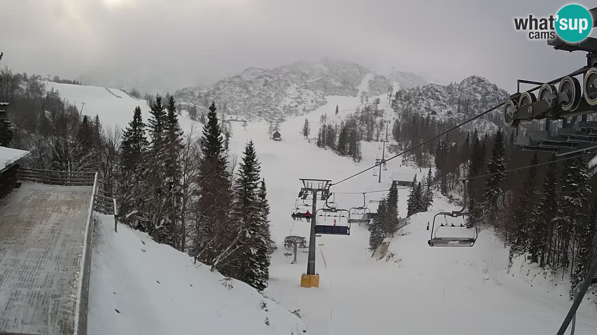 Vogel Live webcam – Brunarica – Slovénie