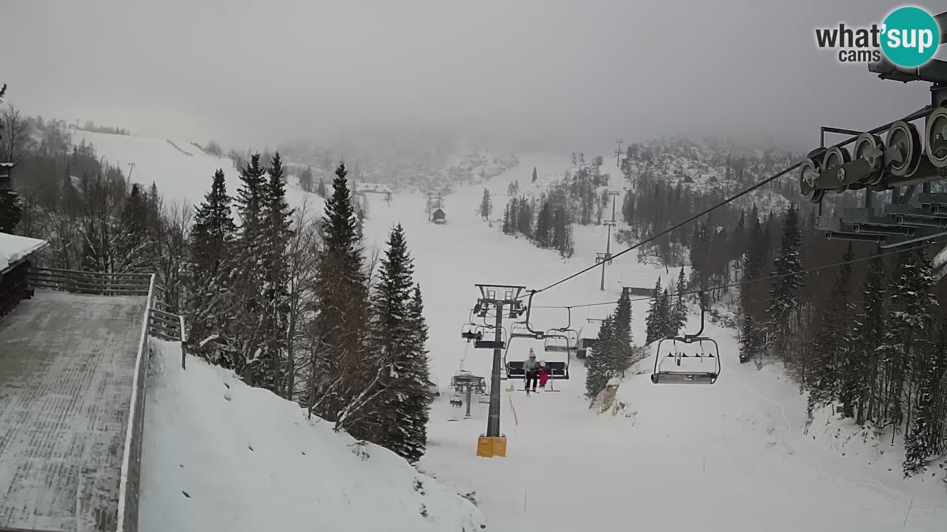 Vogel Live webcam – Brunarica – Slovénie