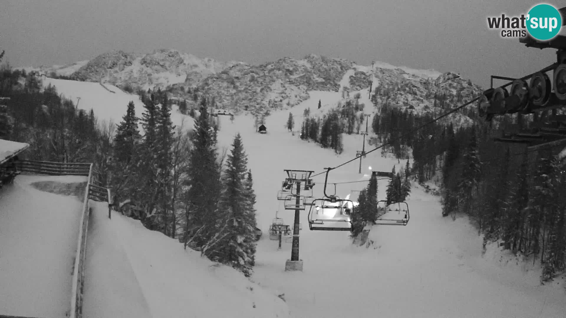 Vogel Live webcam – Brunarica – Slovénie