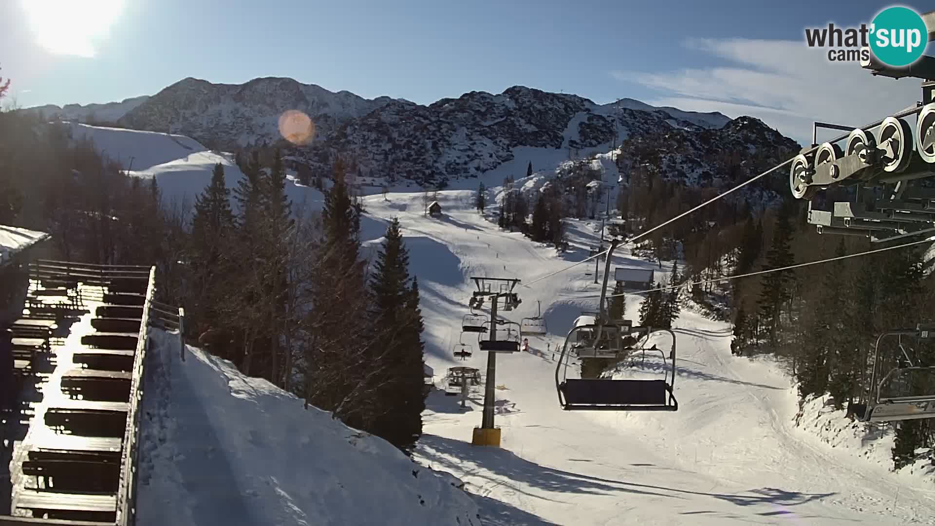 Vogel Live webcam – Brunarica – Slovénie