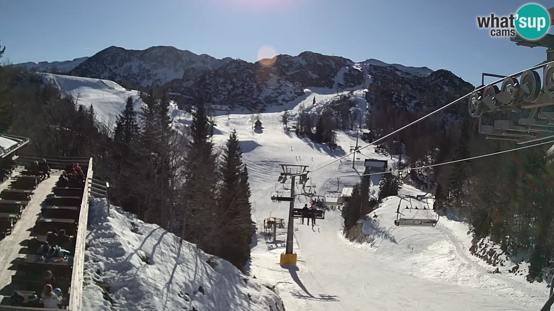 Vogel Live webcam – Brunarica – Slovénie