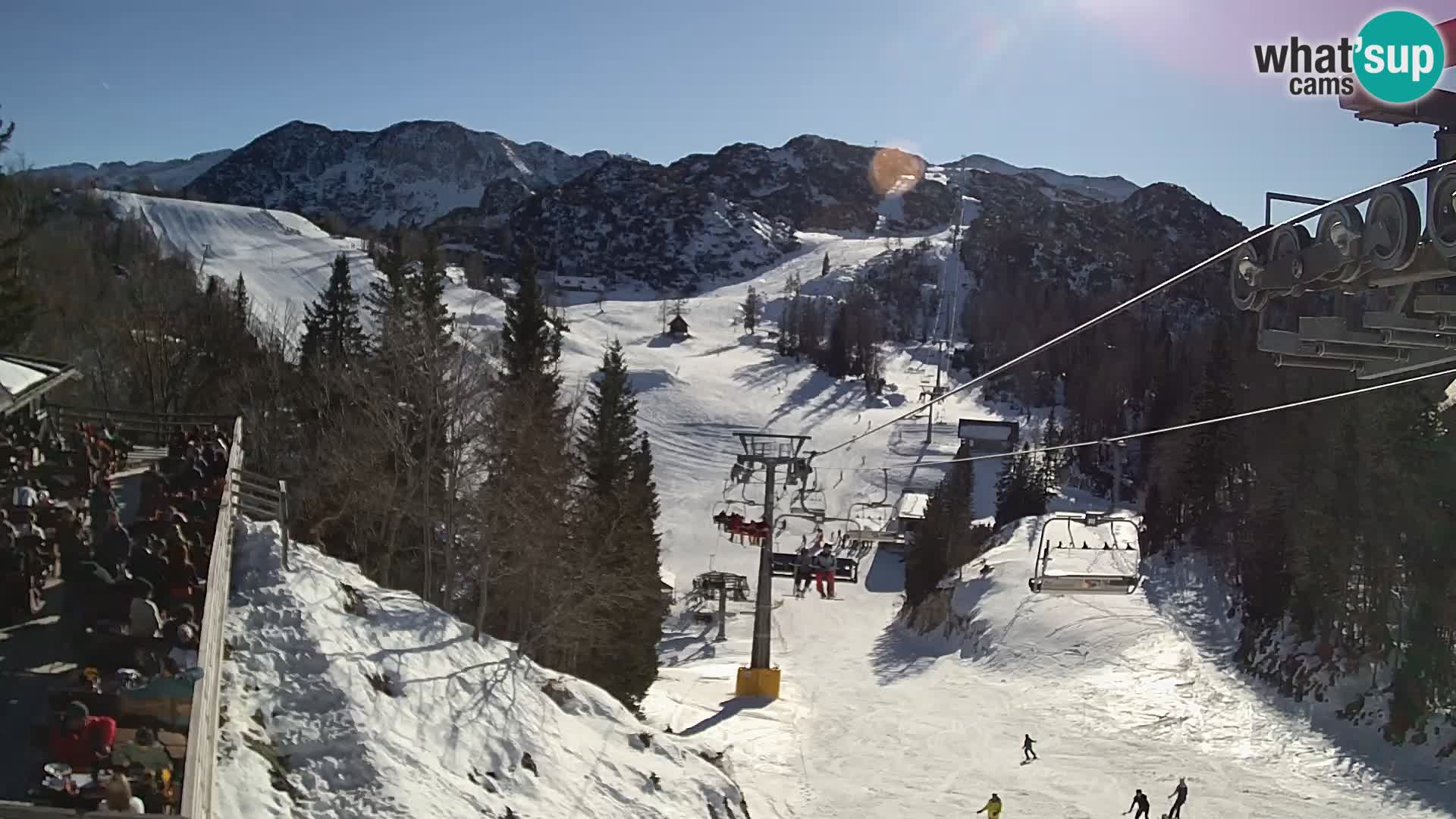 Vogel Live webcam – Brunarica – Slovénie