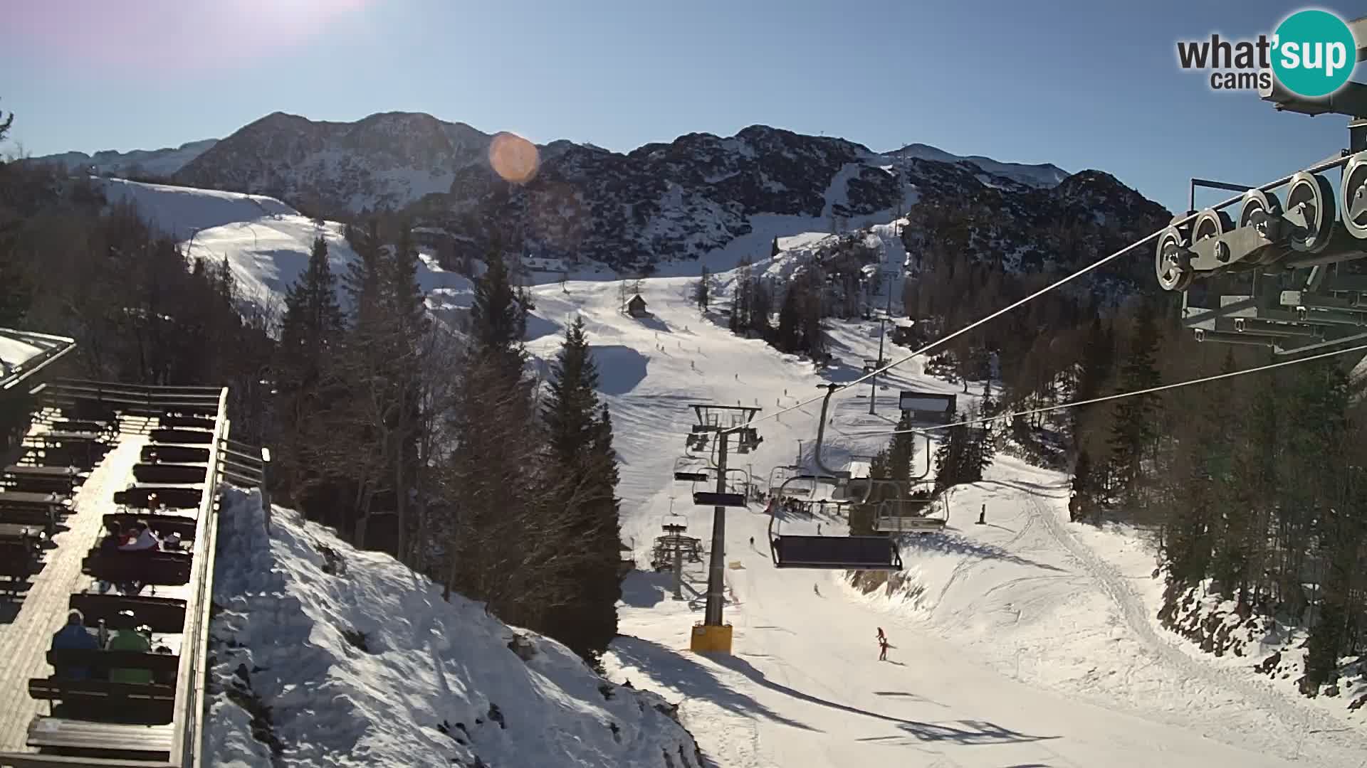 Vogel Live webcam – Brunarica – Slovénie