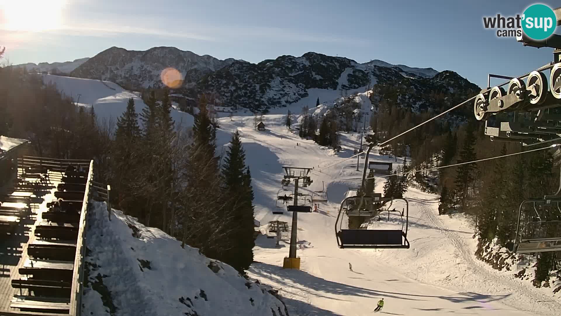 Vogel Live webcam – Brunarica – Slovénie