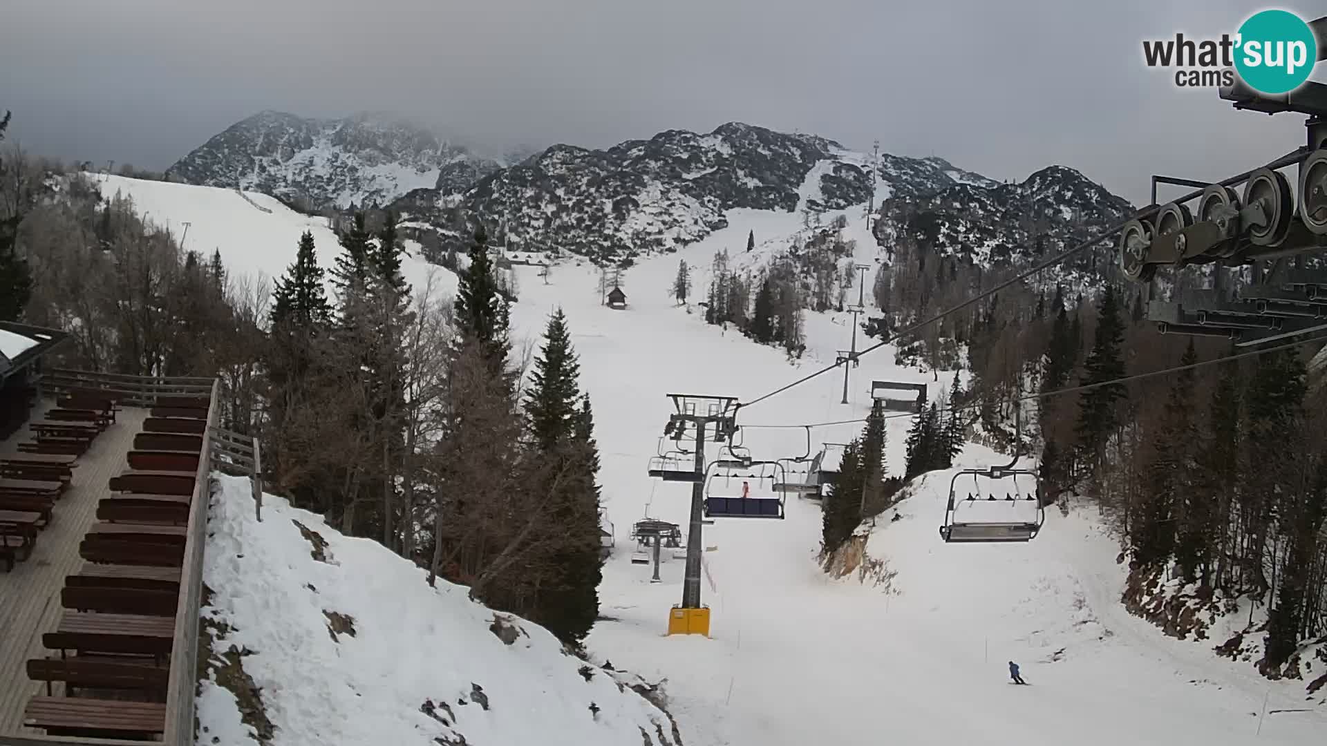 Vogel Live webcam – Brunarica – Slovénie