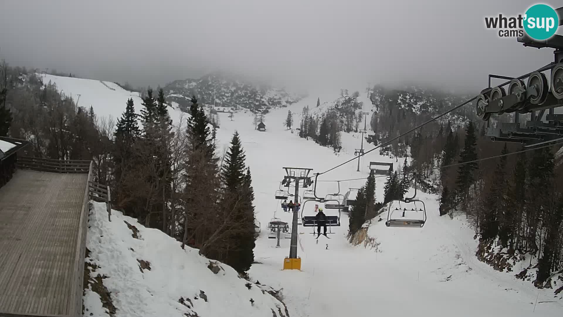 Vogel web kamera – Brunarica – Slovenija