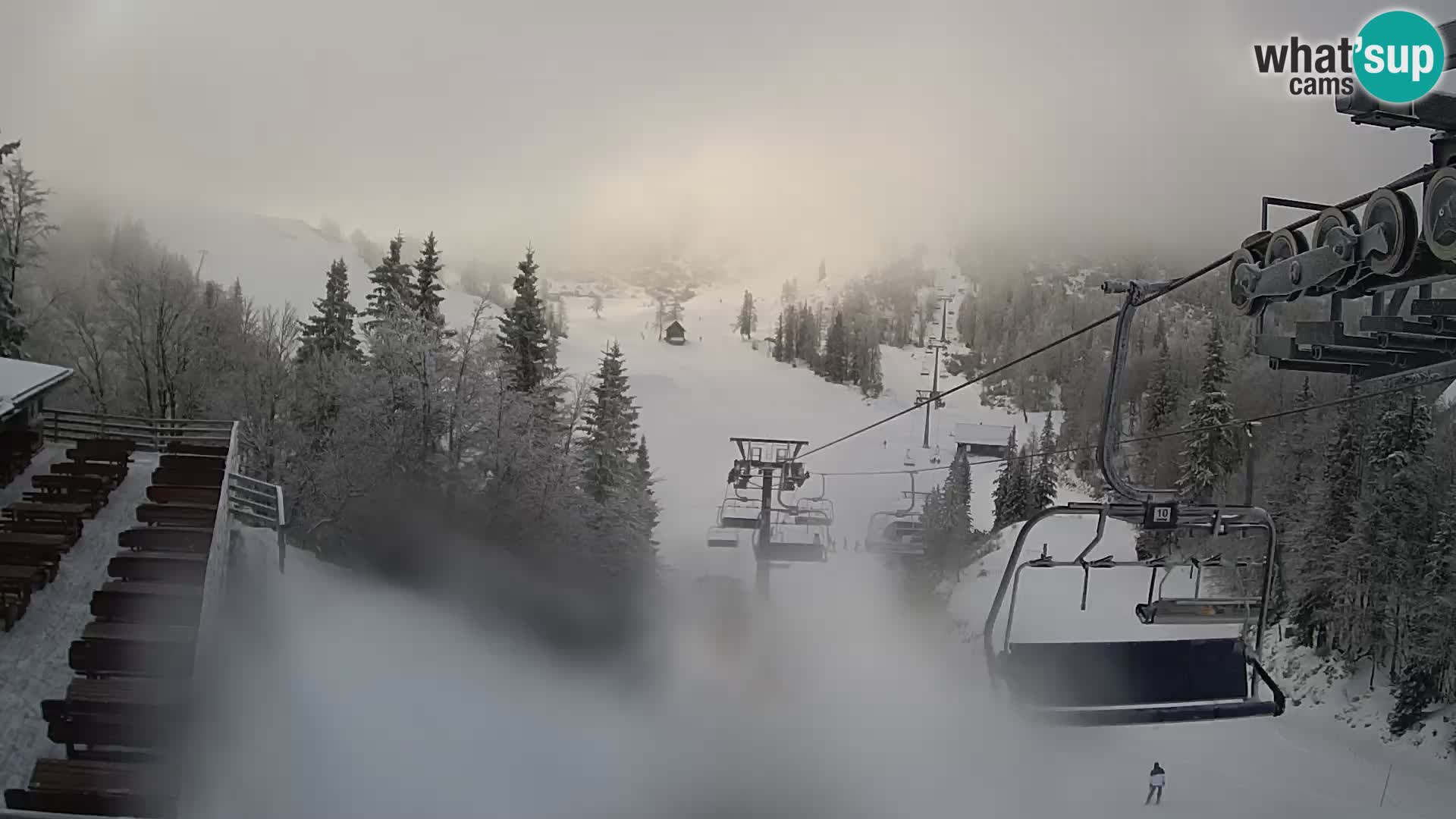 Vogel web kamera – Brunarica – Slovenija