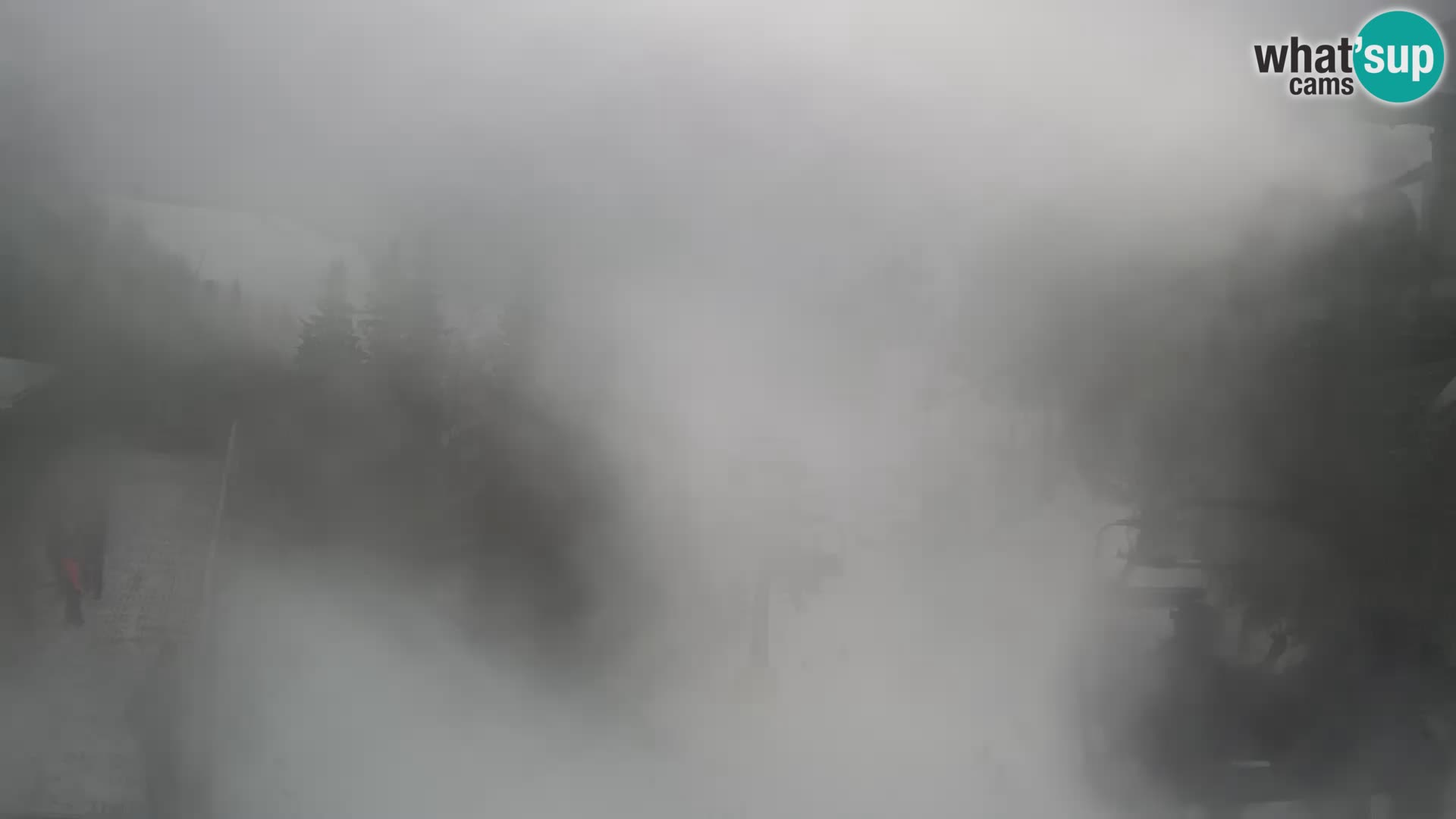 Vogel Live webcam – Brunarica – Slovénie