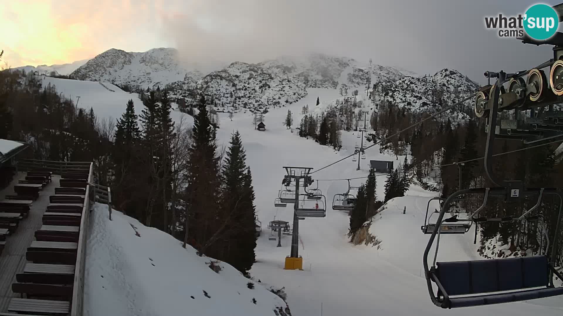 Vogel Live webcam – Brunarica – Slovénie