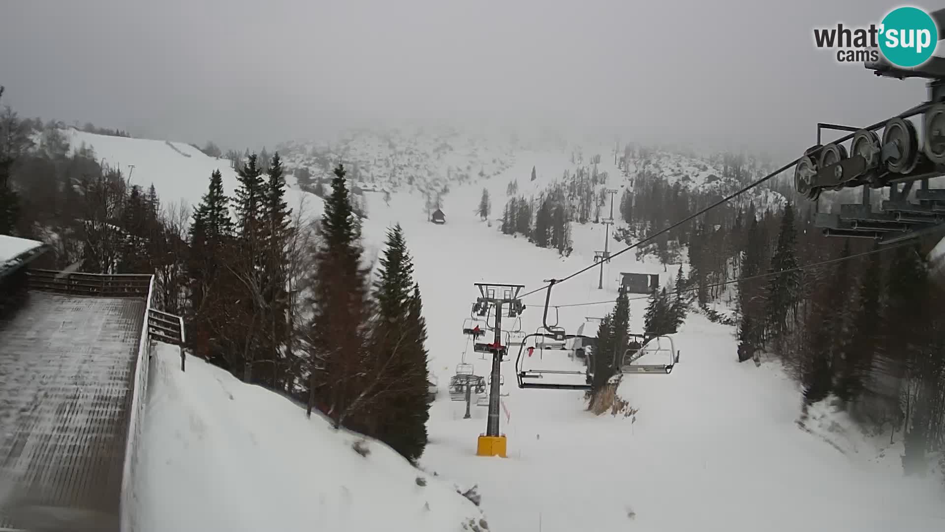 Vogel Live webcam – Brunarica – Slovénie