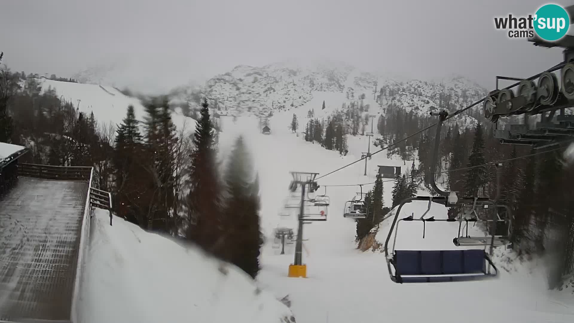 Vogel Live webcam – Brunarica – Slovénie