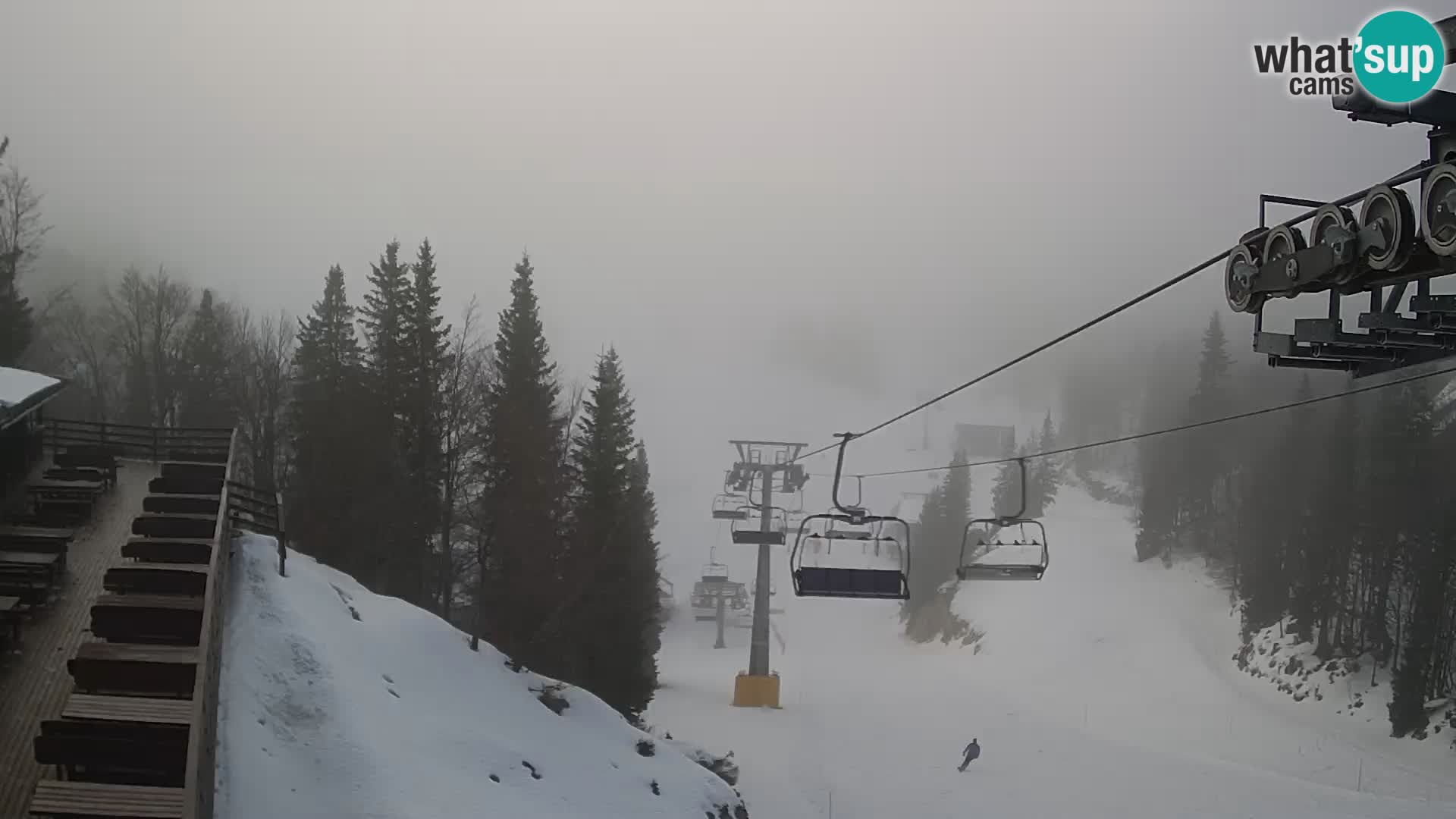 Vogel Live webcam – Brunarica – Slovénie