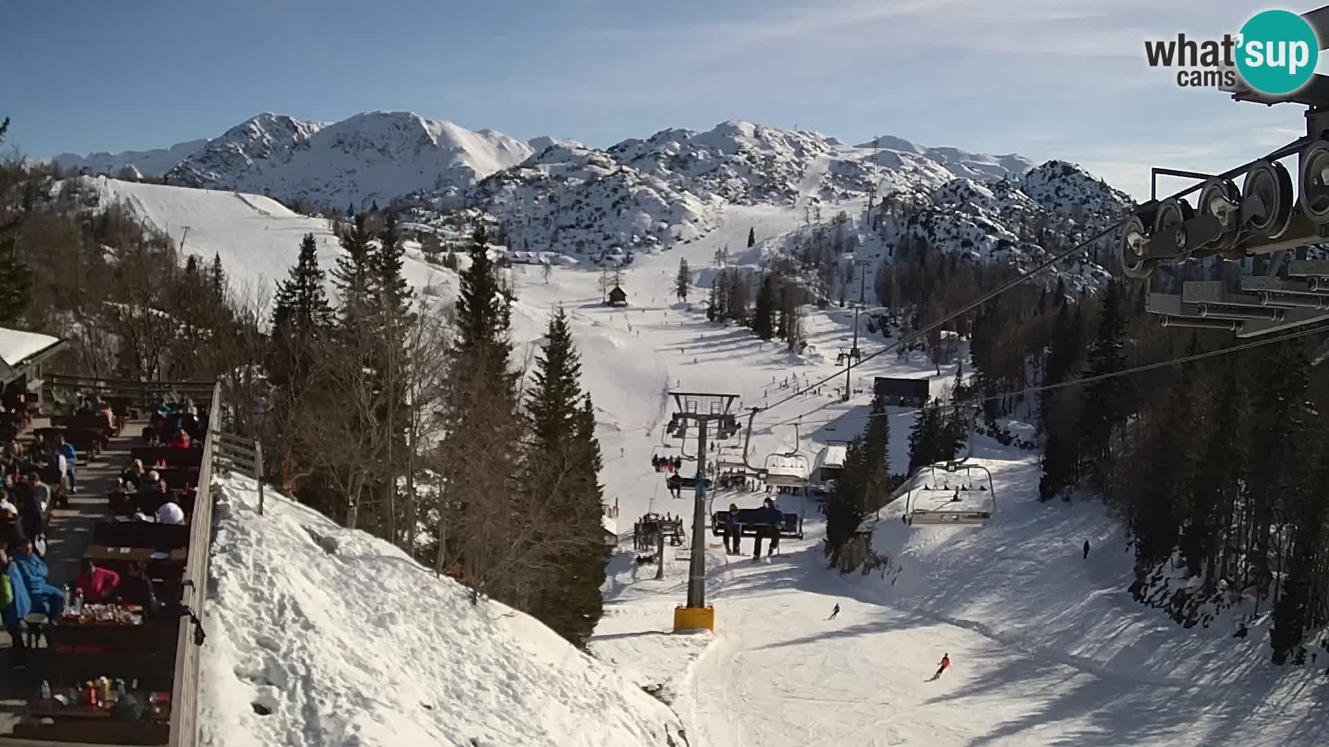 Vogel web kamera – Brunarica – Slovenija