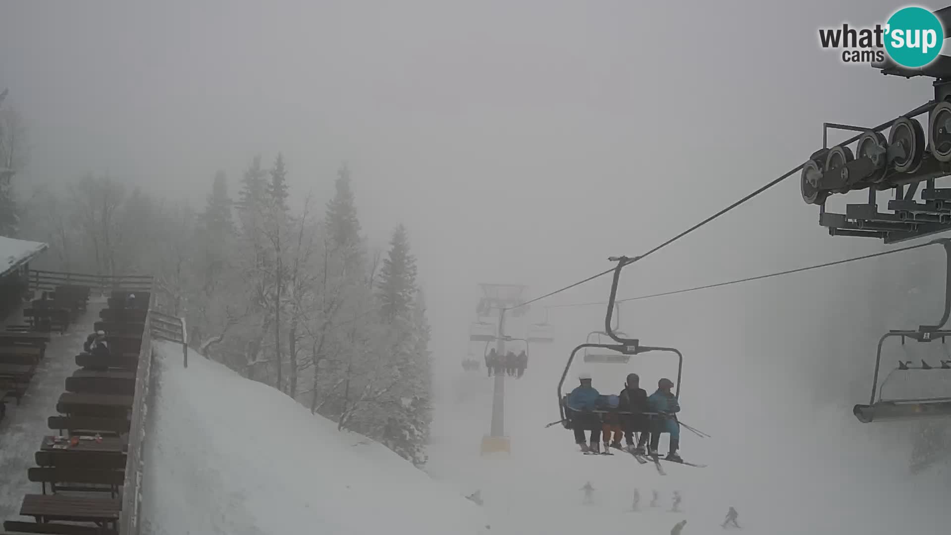 Vogel web kamera – Brunarica – Slovenija