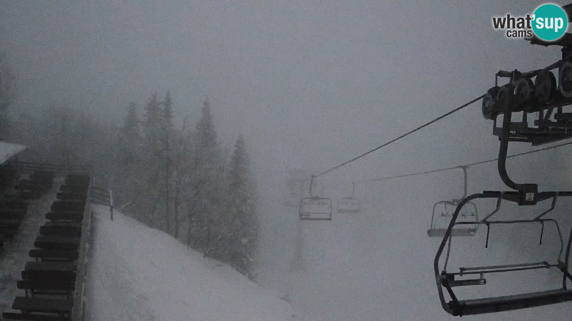 Vogel web kamera – Brunarica – Slovenija