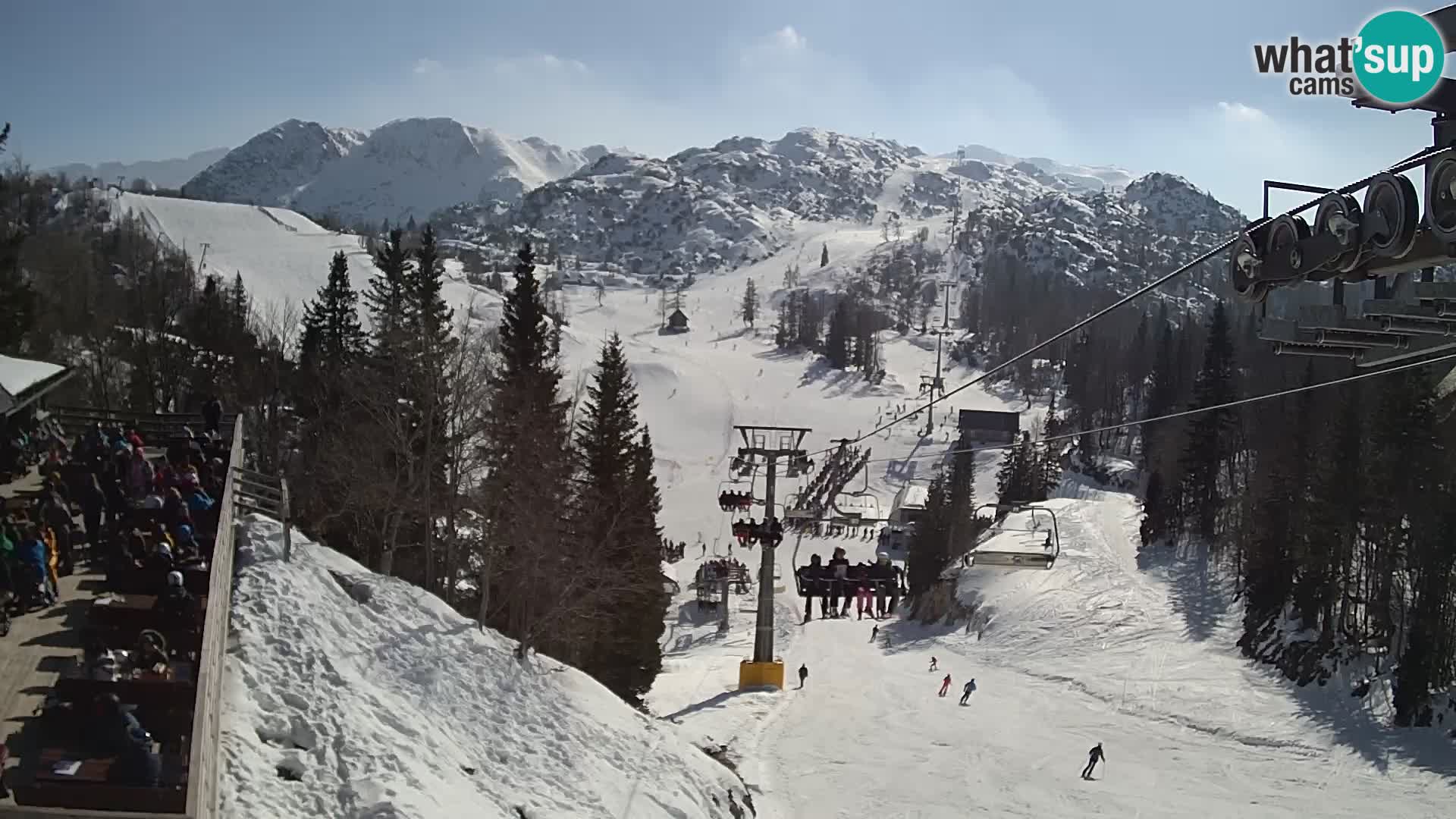 Vogel Live webcam – Brunarica – Slovénie