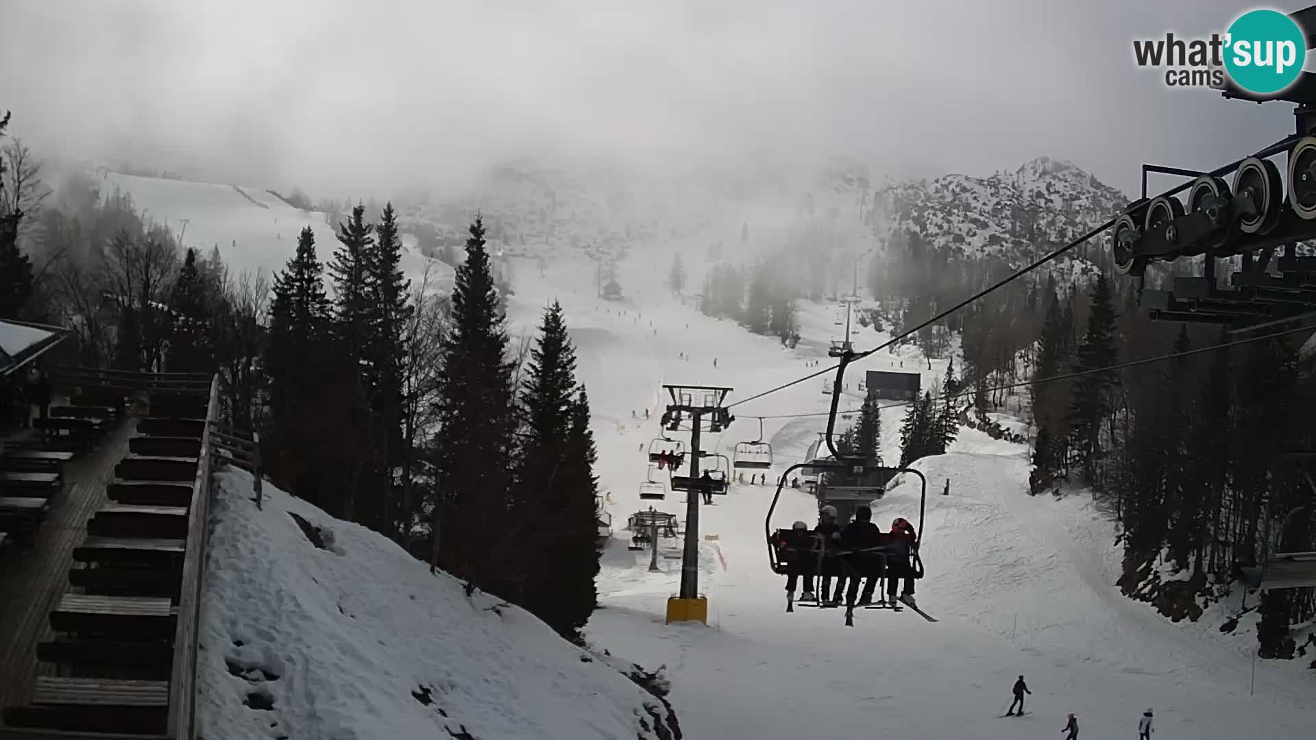 Vogel Live webcam – Brunarica – Slovénie